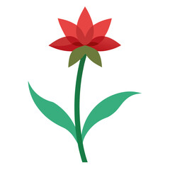  flower isolated on white background