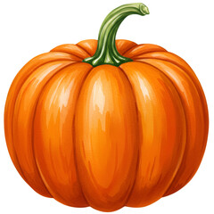 Watercolor Illustration Of Orange Pumpkin Isolated On Transparent Background
