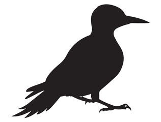 WOODPECKER SILHOUETTE