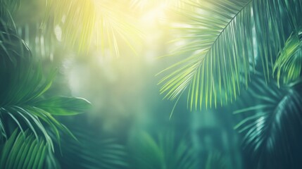 Tropical lush foliage image