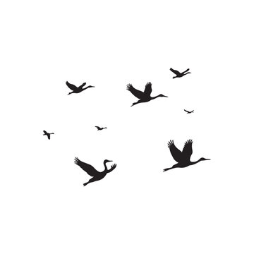  Flying Birds Group Silhouette