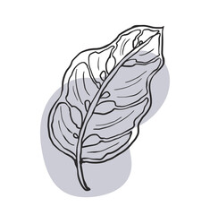 線画の観葉植物アイコン5