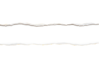 Torn Paper Border:  White Space on .  Textured, Dramatic Reveal, transparent background