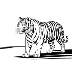 Majestic tiger illustration in black and white