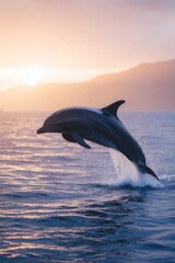 Fototapeta premium close-up of dolphin jumping above water horizon visible background sky softly lit