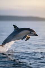 Naklejka premium close-up of dolphin jumping above water horizon visible background sky softly lit