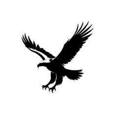 eagle in flight