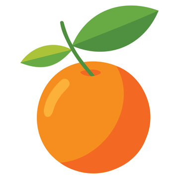 Fresh Citrus Orange Graphics