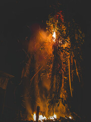 Flame in tree palm at night