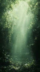 Sunlight Streaming Through Green Forest Canopy