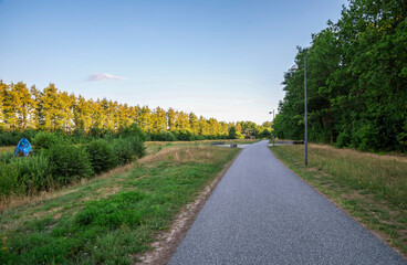Naklejka premium Peaceful Pathway Through Sculpture Park Surrounded by Forest Trees and Open Field, Billund, Denmark, 18 July 2018