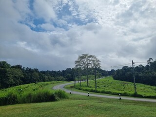 Obraz premium Winding Road in Nature: A scenic panoramic view features a winding road nestled amidst lush green hills under a cloudy sky, inviting exploration and tranquility.