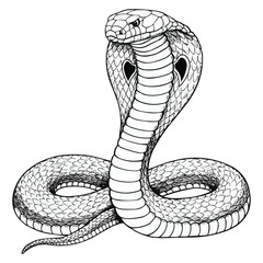 Majestic Cobra Snake in Detailed Line Art