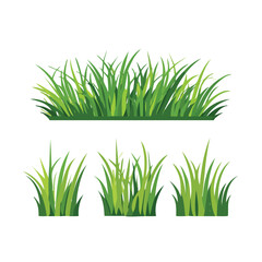 Fototapeta premium Green grass clumps and border illustration on white background clump of grass border