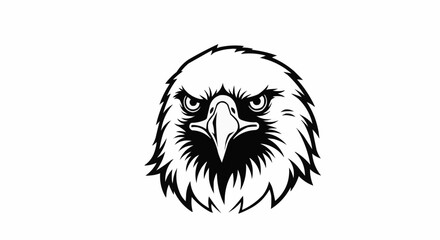 Fototapeta premium head of eagle