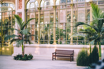 Lush tropical interior of Hivernacle glasshouse with bench and palm trees in Barcelona
