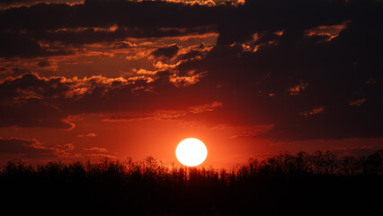 Beautiful wild sunrise over forest. Orange cloudy sky. The sun behind the clouds