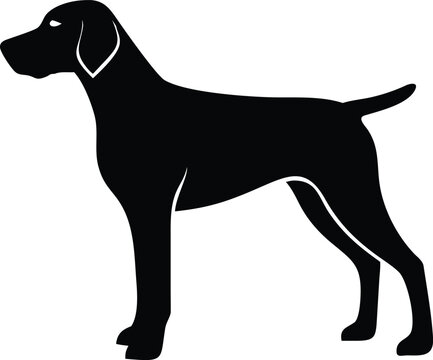 Wirehaired Vizsla dog silhouette vector of Hungarian sporting breed for digital and graphic design use