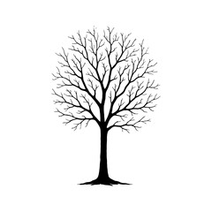 Obraz premium Solitary Bare Tree Silhouette Illustration for Environmental Projects and Seasonal Designs on a Clean White Background Suitable for Various Creative Applications