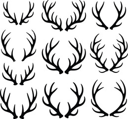 Naklejka premium Deer Antlers Collection animal horns wildlife