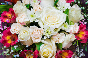 Delicate red alstroemeria and white roses flowers bordered with gypsophila. Minimalist floral composition for summer, wedding or greeting designs.