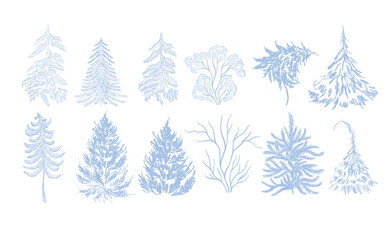 Obraz premium Blue Toile Christmas with blooming elements .