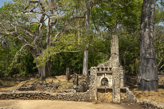 View of weathered ruins stand defiant against the encroaching forest, a silent testament to time's passage and nature's embrace, Gede, Kilifi County, Kenya.