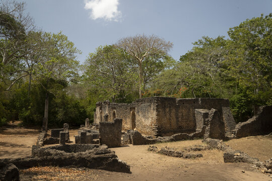 View of ancient stone ruins standing amidst lush green trees under a bright sky, a silent testament to time, Gede, Kilifi County, Kenya.