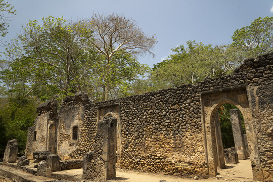 View of ancient stone ruins standing proudly amidst lush green trees, under a bright blue sky, creating a timeless scene, Gede, Kilifi County, Kenya.