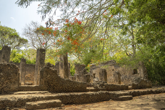 View of weathered stone ruins standing silently beneath a canopy of verdant trees, where dappled sunlight dances, Gede, Kilifi County, Kenya.