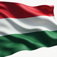 Obraz premium flag of hungary