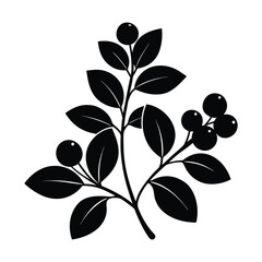 Black and White Silhouette of Berry Branch Botanical Illustration on White Background