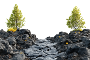 Lush green trees on a rocky island with a glowing lava isolated on transparent background. Lava flowing through a rocky landscape with trees on both sides isolated on white background