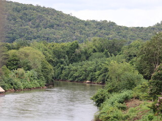Serene River Landscape: A tranquil river snakes through a lush, green landscape, its waters reflecting the surrounding vegetation and distant hills under an overcast sky. 