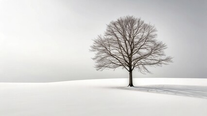 Fototapeta premium Solitary bare tree stands in a vast snowy landscape under a soft grey sky