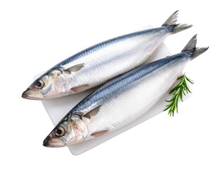 Fototapeta premium Fresh Atlantic mackerel fish on a white cutting board