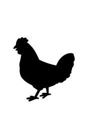 Silhouette of a Chicken