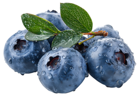 Blueberry smoothie drink with summer vibes