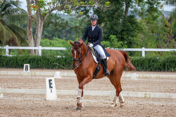 Youth Dressage Competition &ndash; Chestnut Horse and Rider