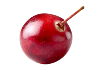  Cranberry health benefits for daily use 