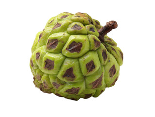 Fototapeta premium Custard Apple creamy taste nature’s own gift 