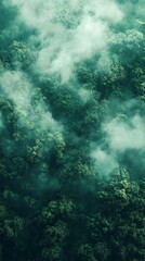 Forest Canopy Aerial View with Fog and Green Trees