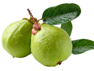 Guava healthy tropical fruit for everyone