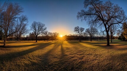 Golden sunset over a parkland