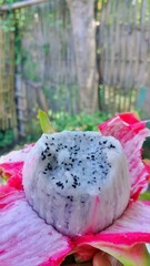 Macro shot of a ripe white dragon fruit with pink skin peeled to reveal seed-speckled white flesh, set in a natural outdoor setting, evoking tropical freshness and garden-to-table appeal