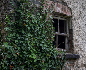 The wall of an abandoned, industrial building shows crumbling stone and brick, flanked by climbing ivy. Photo taken in Inniskeen, County Monaghan, Ireland
