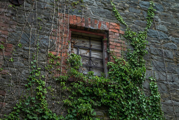 The wall of an abandoned, industrial building shows crumbling stone and brick, flanked by climbing ivy. Photo taken in Inniskeen, County Monaghan, Ireland