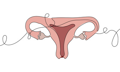 Female Reproductive System in One Line Art Style