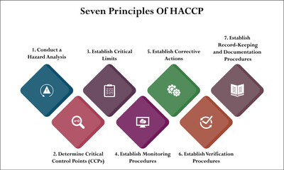 Seven Principles Of HACCP model. Infographic template with icons and description placeholder