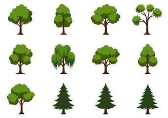 12 cartoon trees deciduous and coniferous arranged in a grid pattern